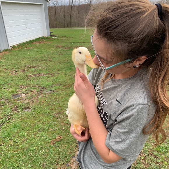 Meet your Posher, Alicia - Picture 1 of 1